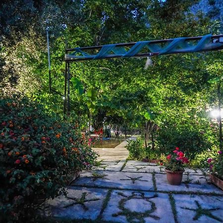 Arya Holiday Houses Çıralı Extérieur photo