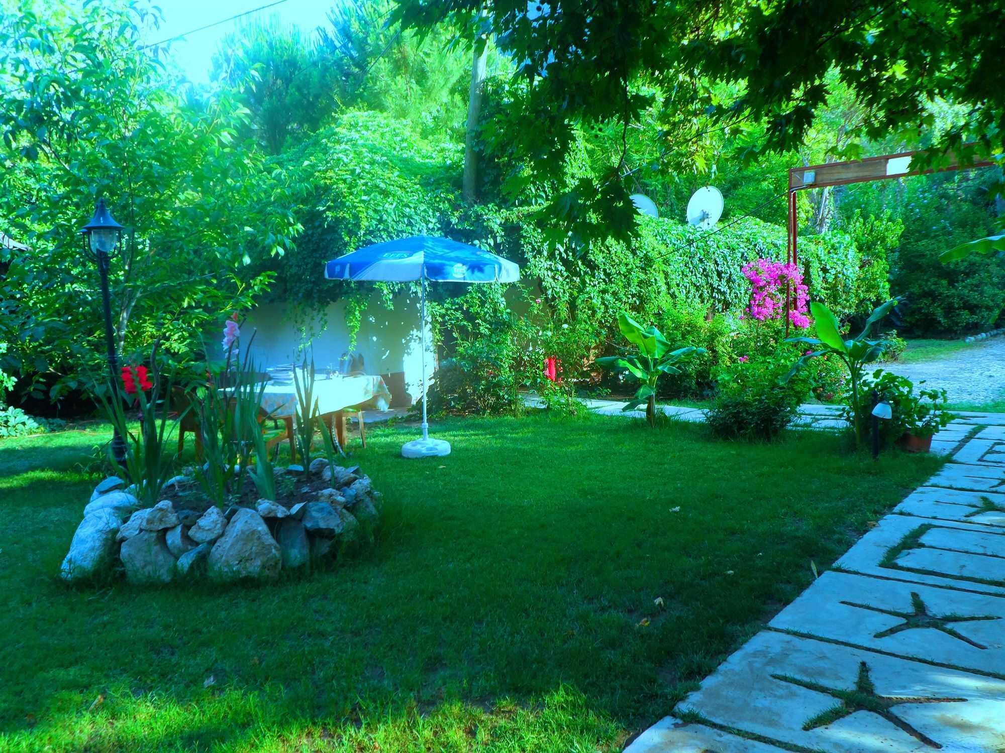 Arya Holiday Houses Çıralı Extérieur photo