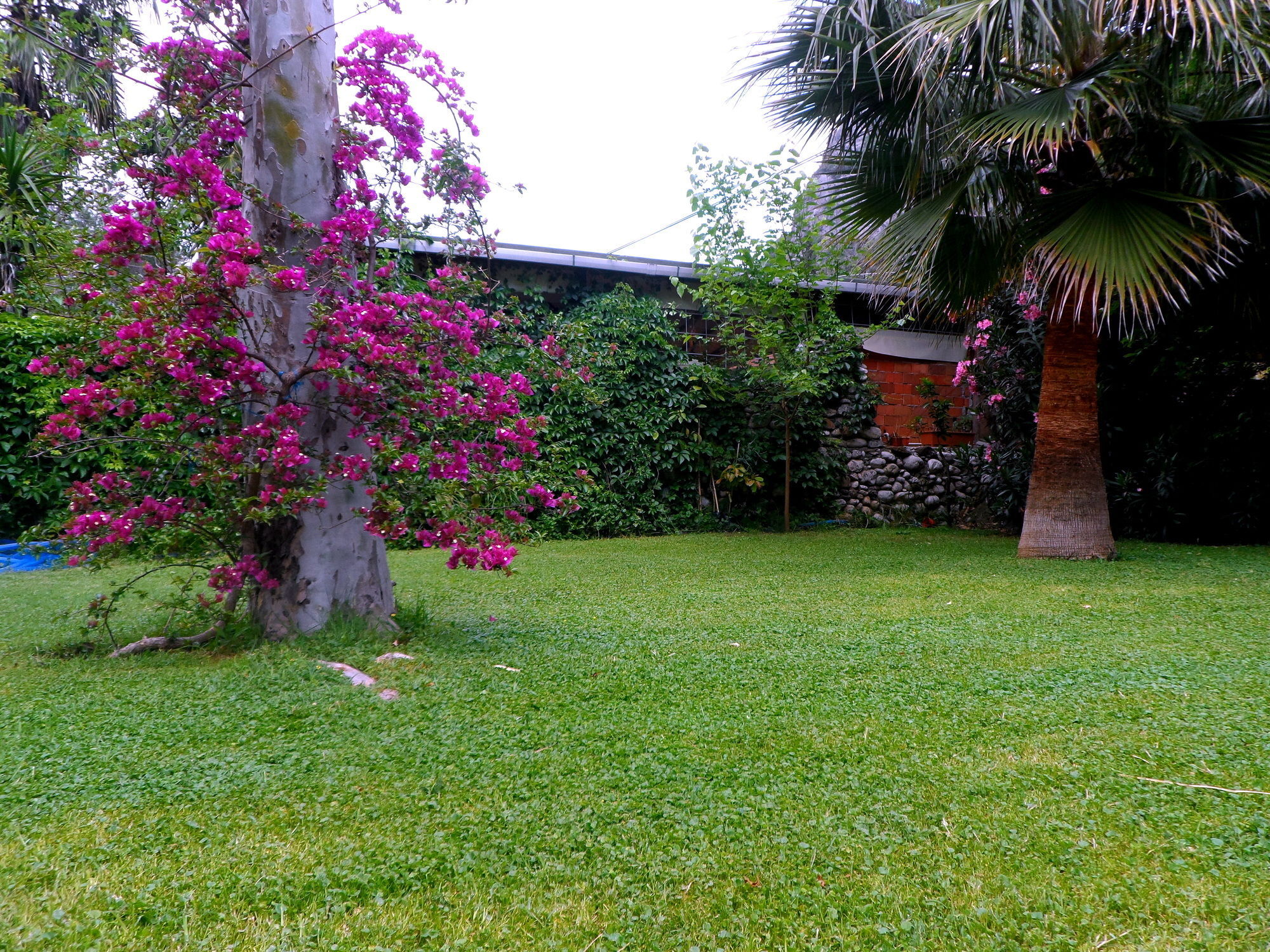 Arya Holiday Houses Çıralı Extérieur photo
