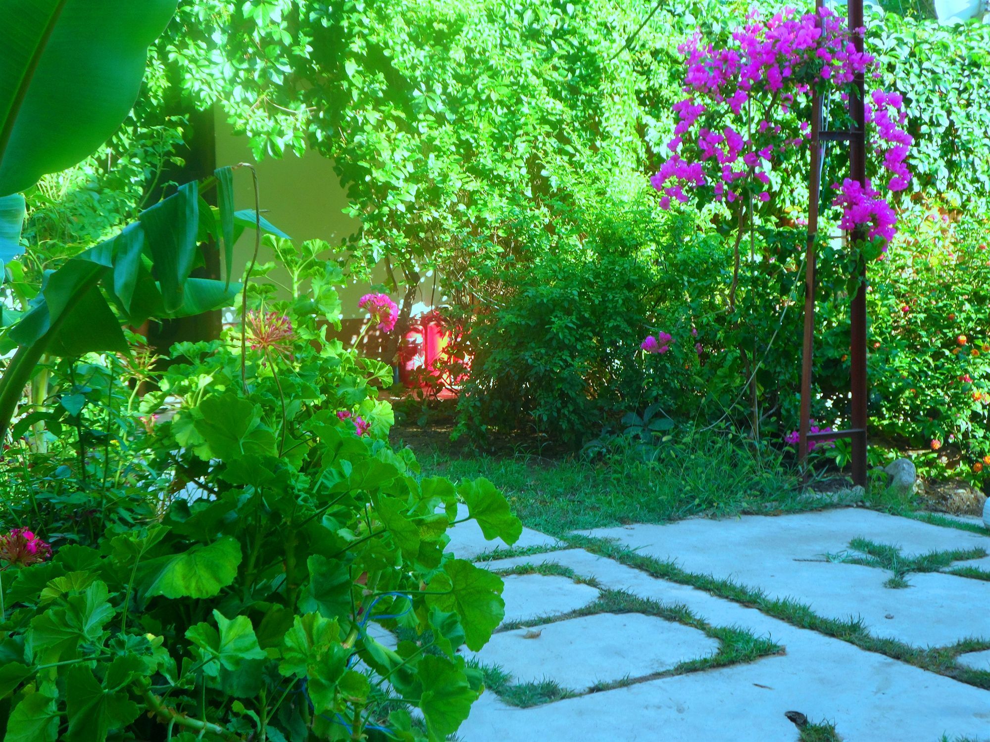 Arya Holiday Houses Çıralı Extérieur photo
