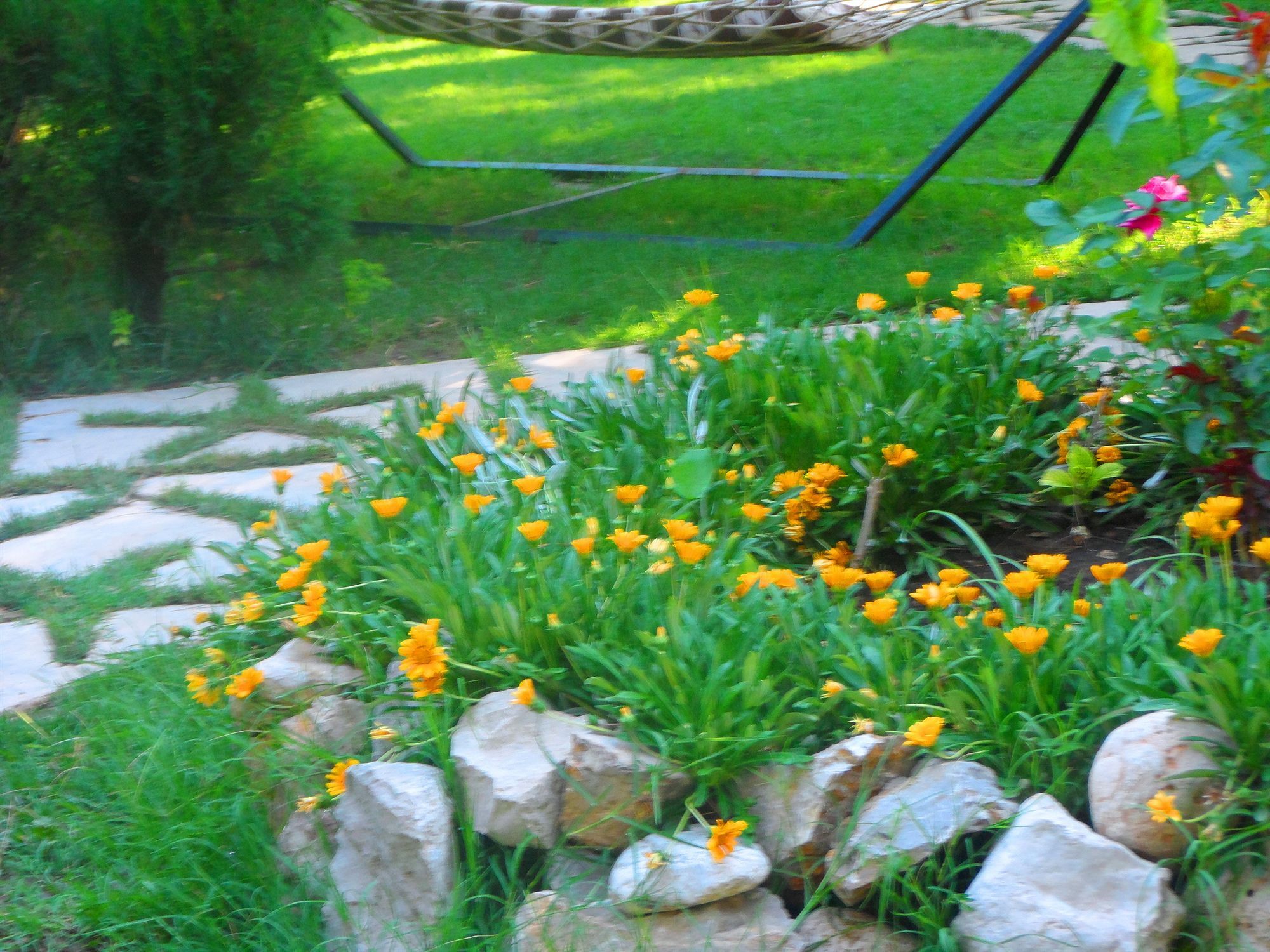 Arya Holiday Houses Çıralı Extérieur photo