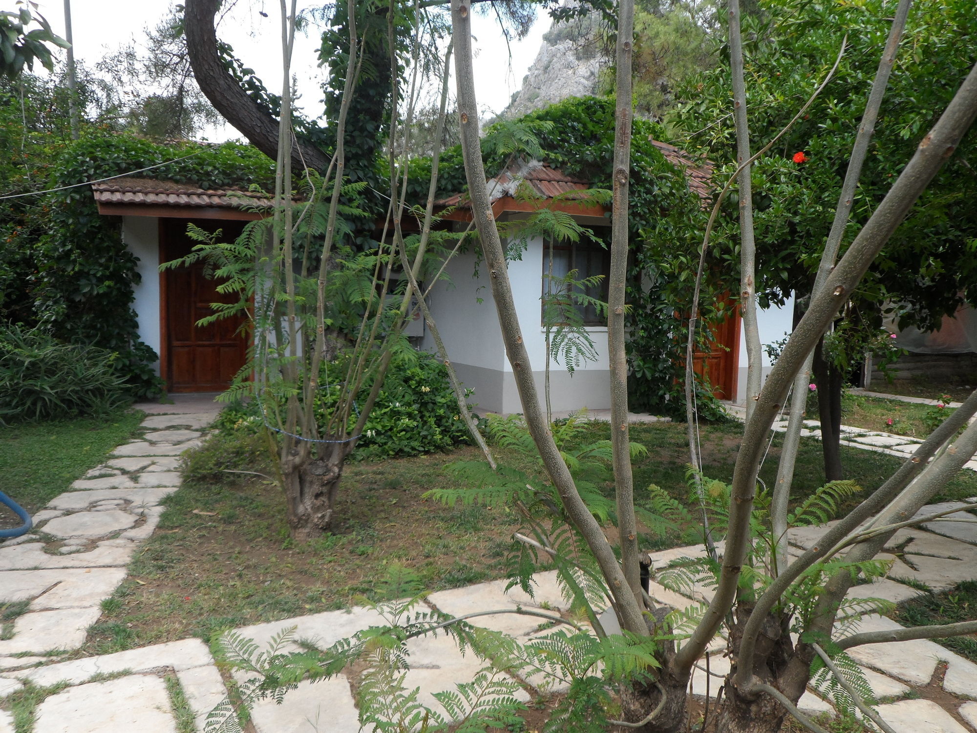 Arya Holiday Houses Çıralı Extérieur photo